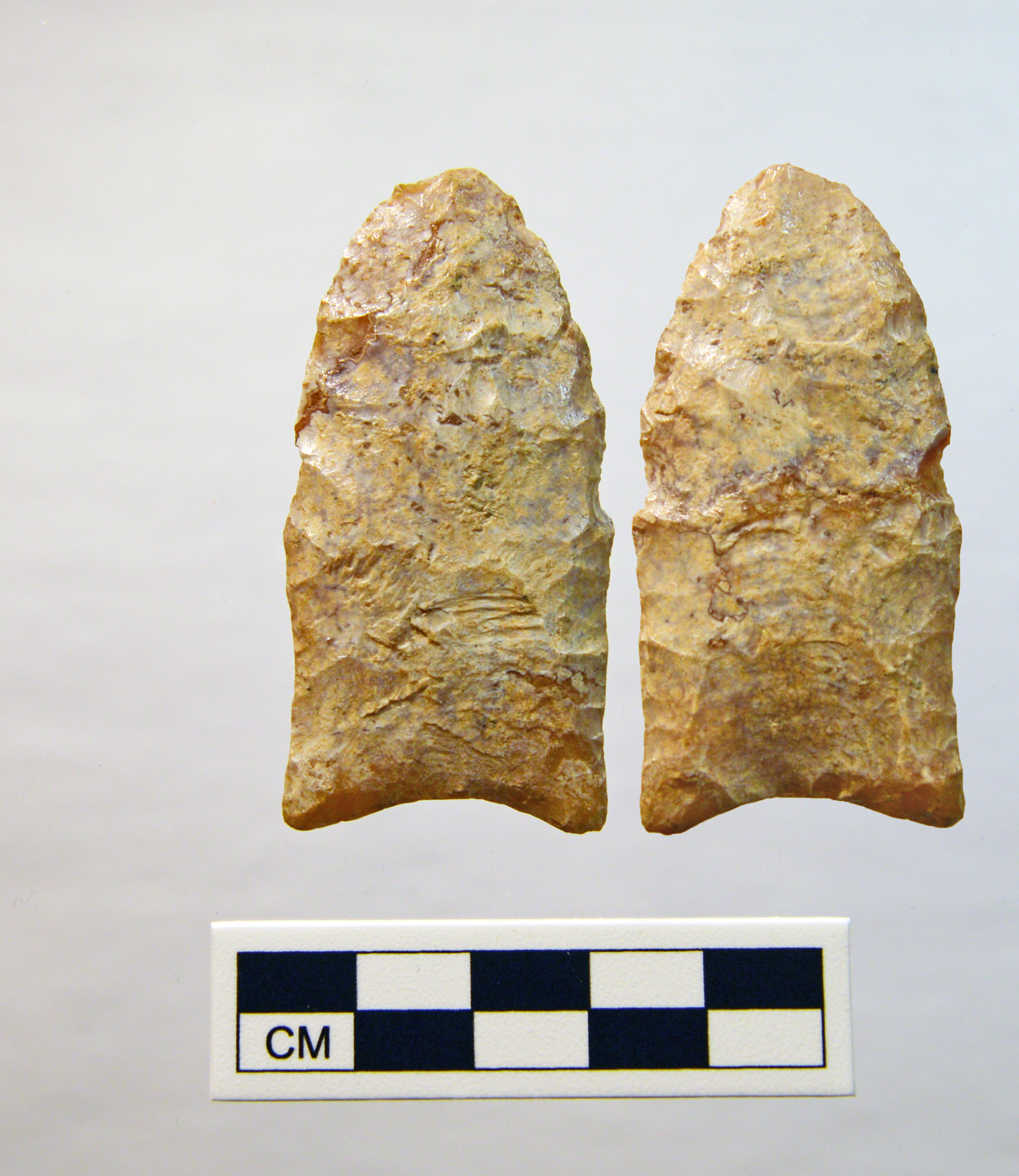 Photo of a Clovis Point from Caroline County, Maryland