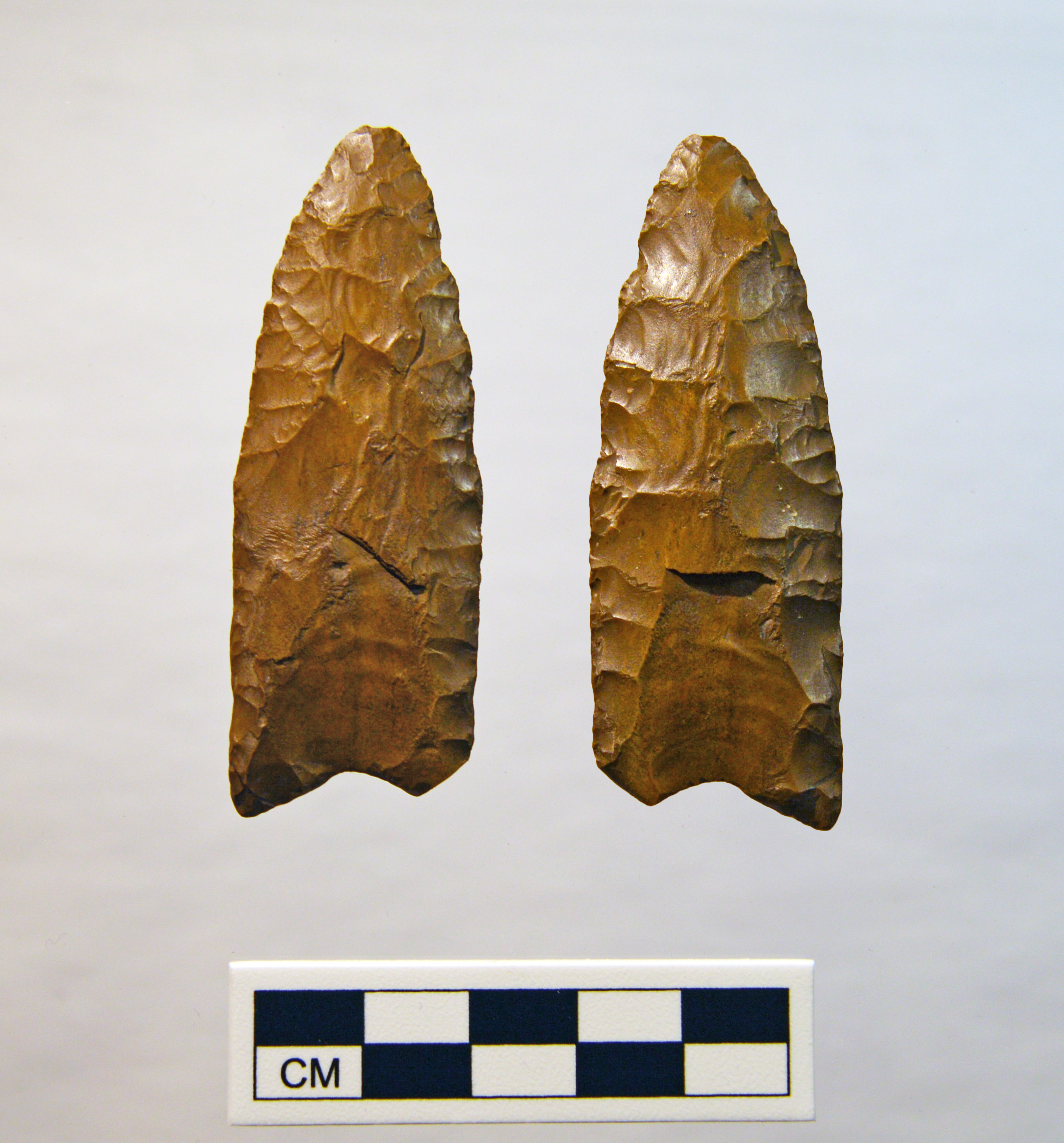 Photo of a Clovis point from Caroline County, MD.